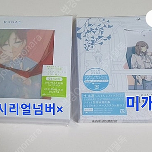일괄)니지산지 JP 쿠로노와 카나에 플로레스 등 앨범 굿즈 양도 판매