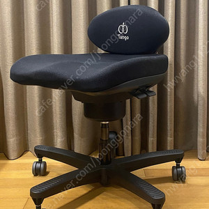 코어체어 탱고 (Core Chair Tango) — 자세교정 / 근육강화 의자