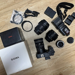 시그마 sdq(sd 콰트로)
