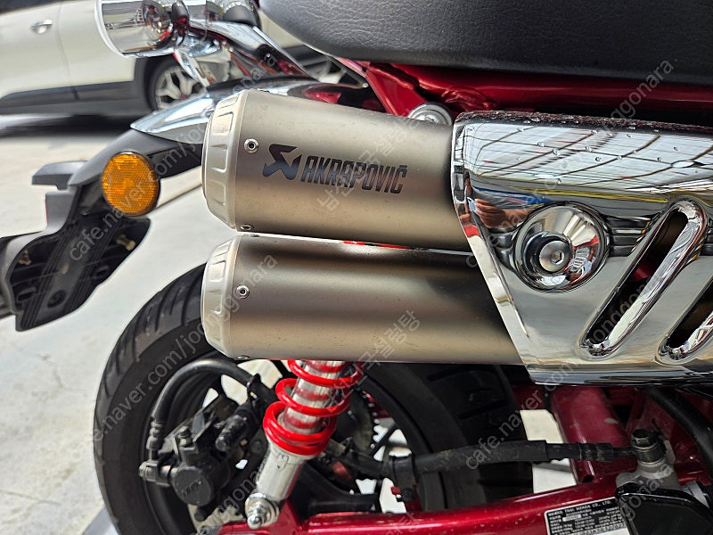 혼다 몽키125 이미지