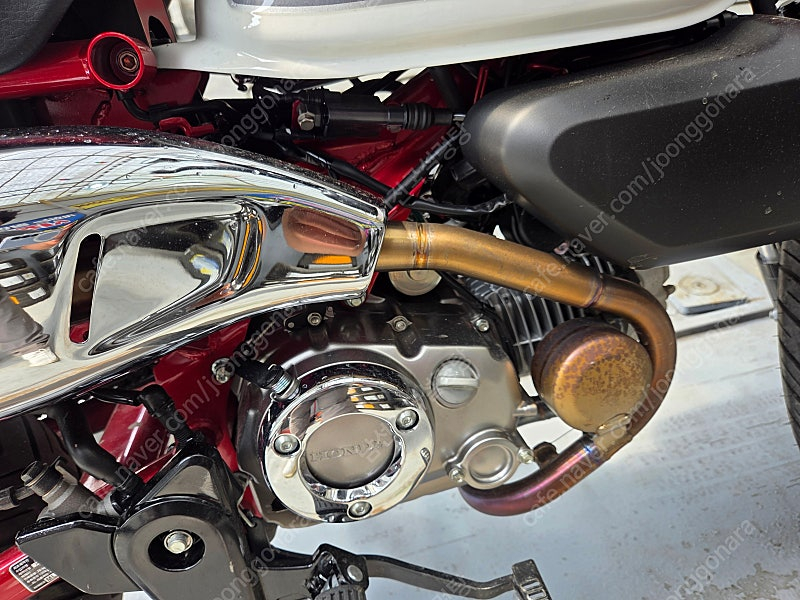 혼다 몽키125 이미지