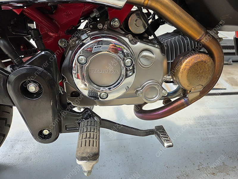 혼다 몽키125 이미지