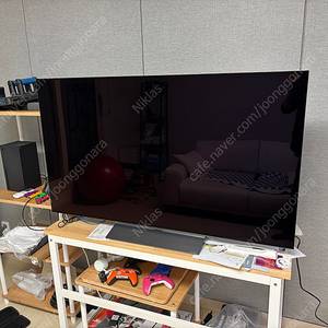 LG 55인치 OLED TV OLED55C3SNA