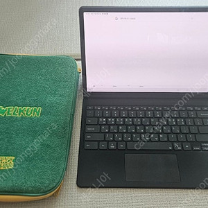 갤럭시탭 S9 플러스 wifi 256GB, 12GB