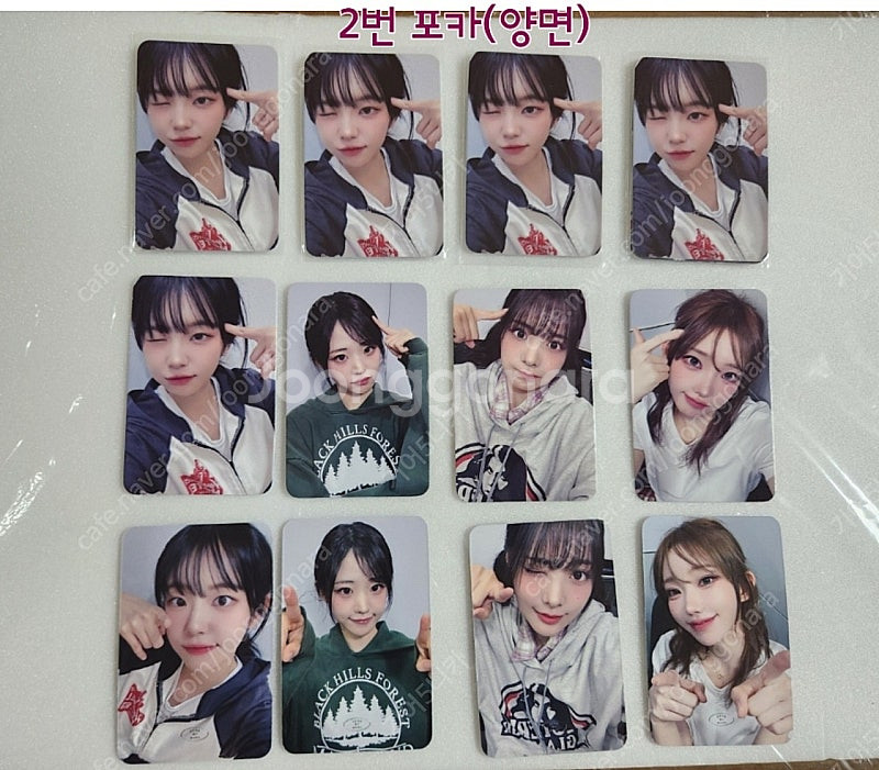 QWER 미공개 포토카드/엽서--1