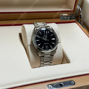 가격내림) 아쿠아테라 래커 41mm