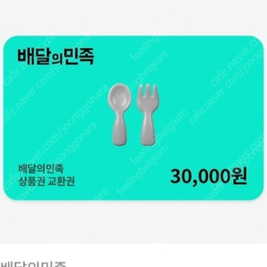 배달의민족 모바일 상품권 3만원