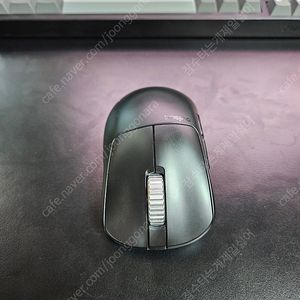 펄사 xlite v4 es 미디움 무선 마우스