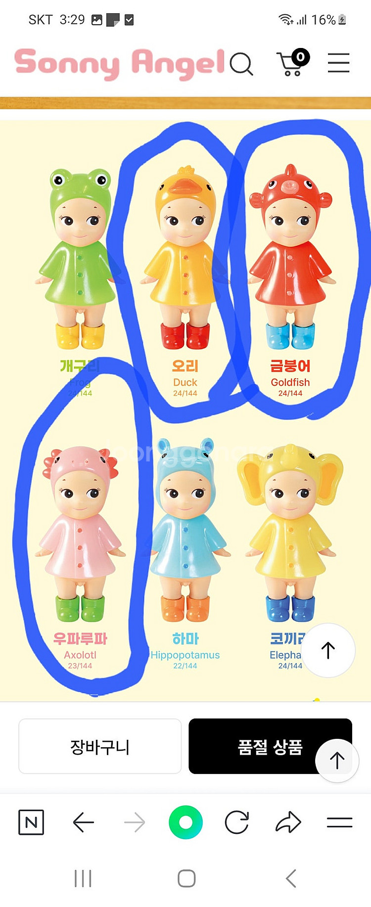 소니엔젤 레이니--0