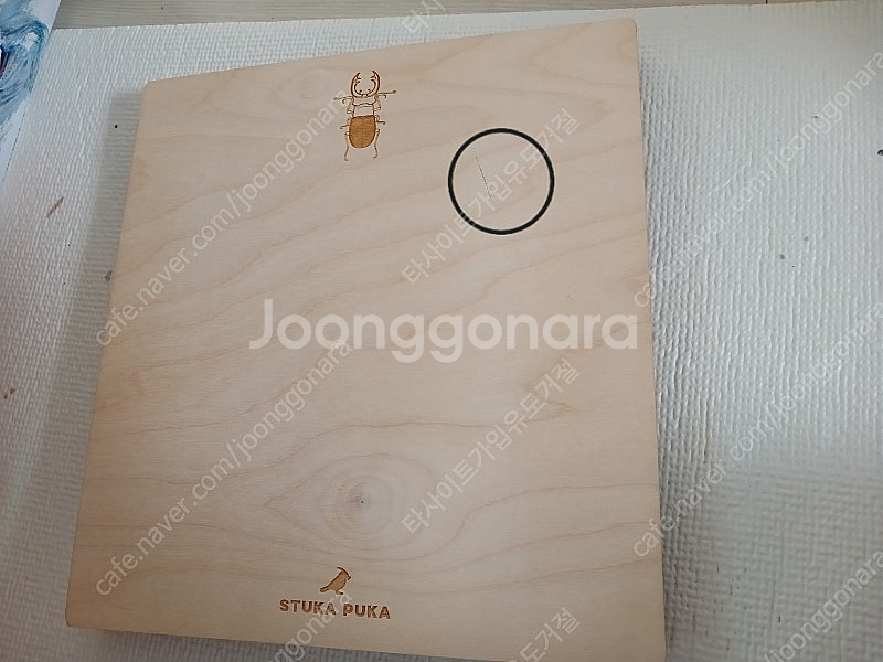 아노제스토어 스투카푸카 몬테소리퍼즐 곤충의일생퍼즐 택배...--4