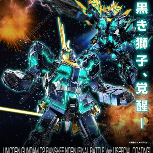 Rg 밴시 노른 최종결전 스페셜 코팅 미개봉