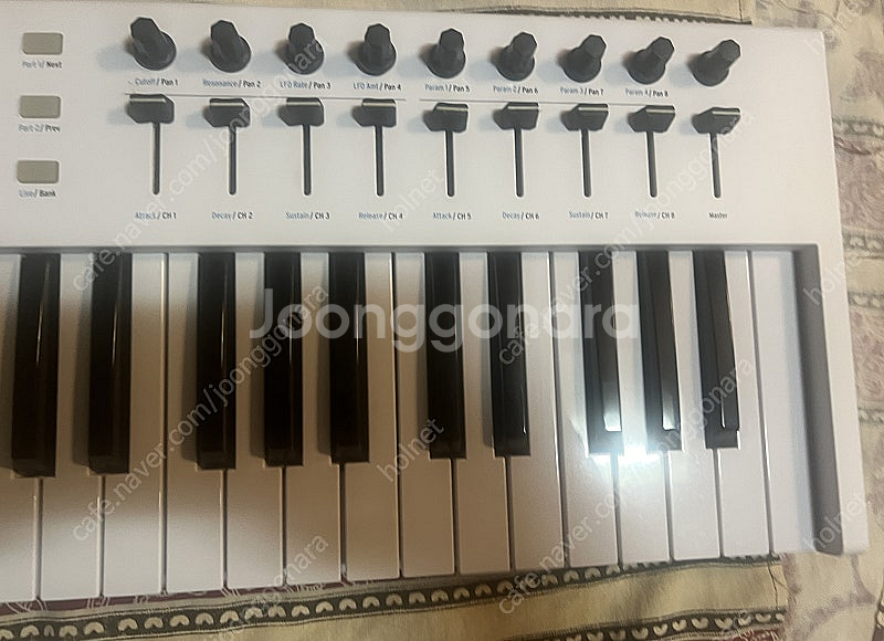 아투리아 키랩 에센셜 61 마스터키보드 중고 급처!--3