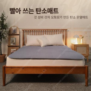 오토모 전국민 빨아쓰는 탄소매트 더블