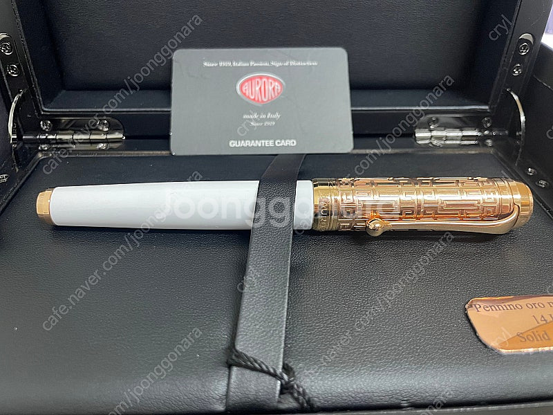 오로라 탈렌튬 미로 EF nib--1