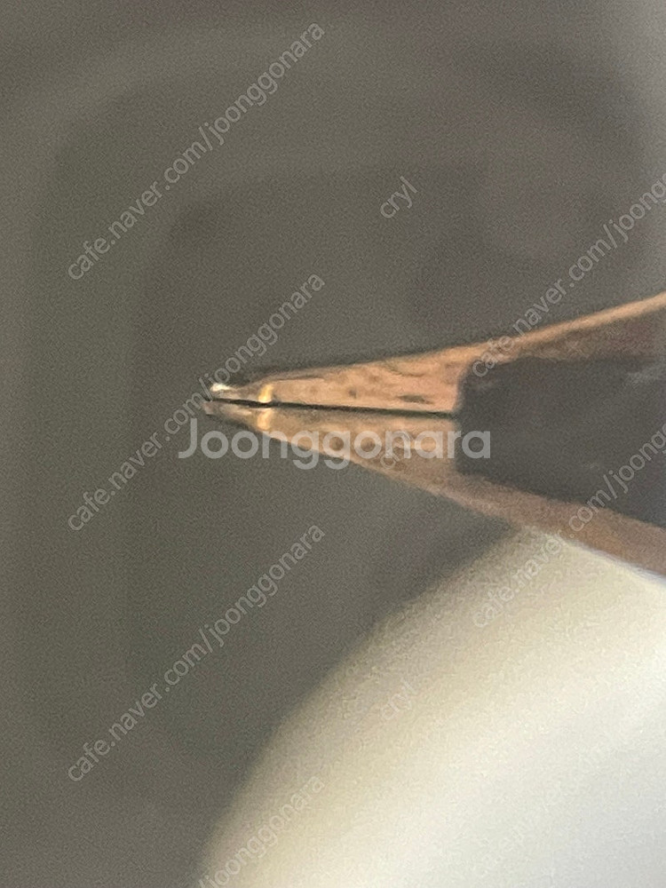 오로라 탈렌튬 미로 EF nib--3