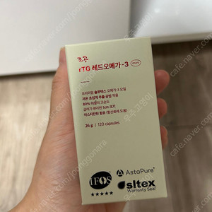 조공 레드 오메가 미니 3통