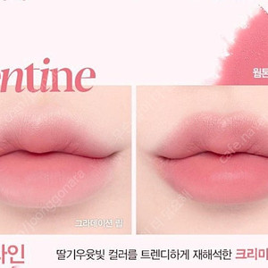 에스쁘아 더슬릭 립스틱 크림매트 발렌타인 여쿨 겨쿨 봄웜 갈웜 틴트