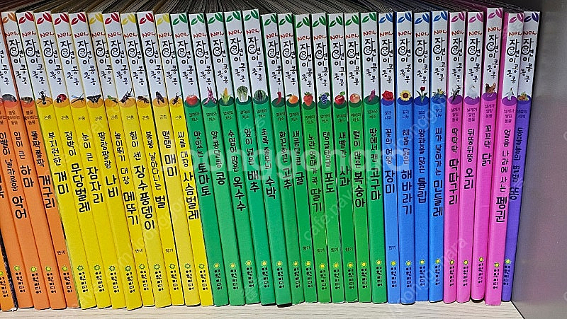 여원미디어 뉴자연이콩콩콩--0