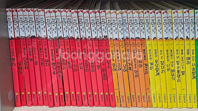 여원미디어 뉴자연이콩콩콩--1