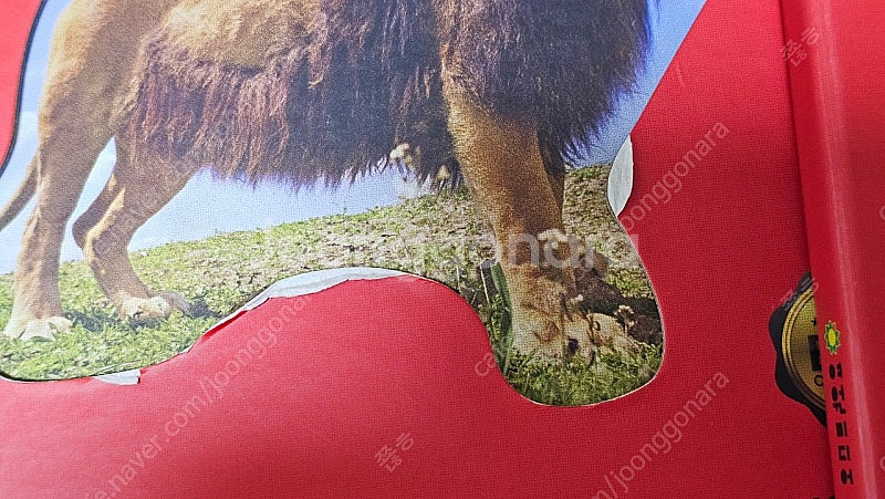 여원미디어 뉴자연이콩콩콩--2