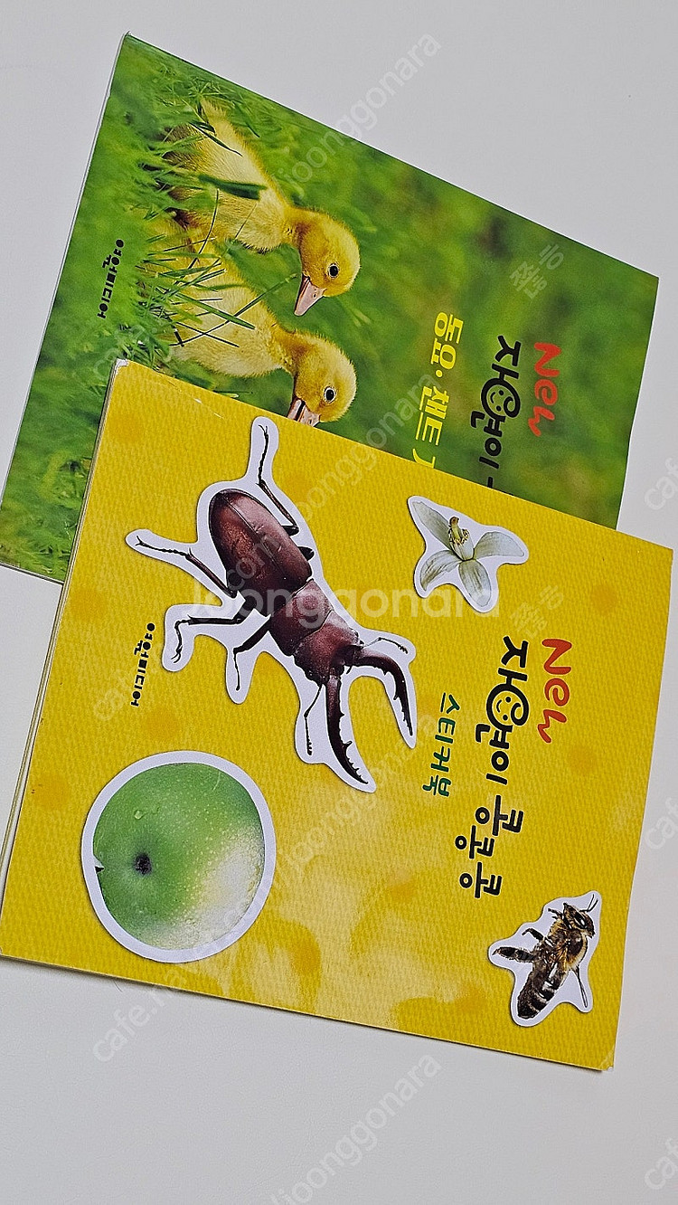 여원미디어 뉴자연이콩콩콩--4
