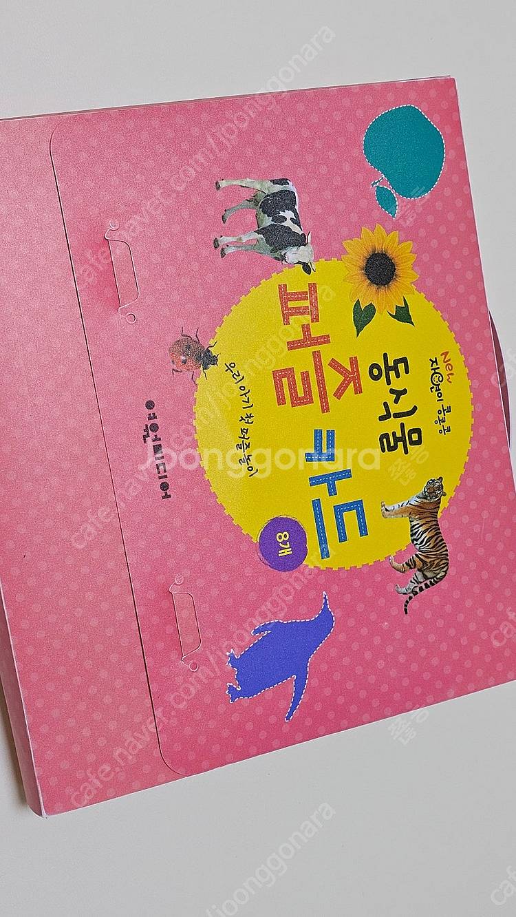 여원미디어 뉴자연이콩콩콩--5