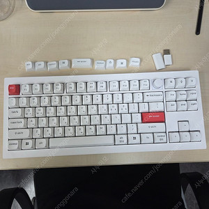 키크론 v3 max 화이트 저소음 적축 + 팜레스트