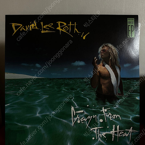 David Lee Roth – Crazy From The Heat(LP)