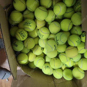 한번쓴 시합구 판매