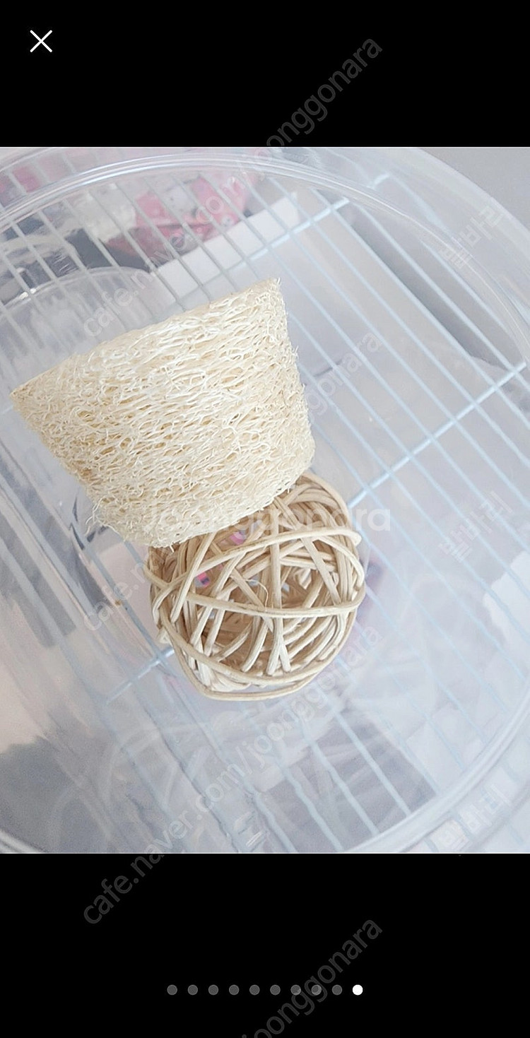 햄스터집 + 용품 풀세트--1