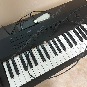 NI KOMPLETE Kontrol A49 미디 키보드