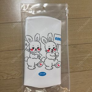 헤이엄 태극끼 수모