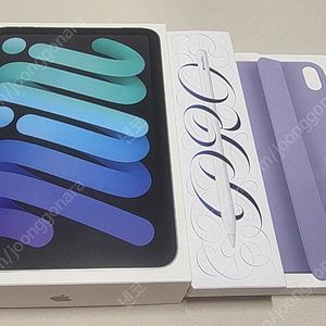 아이패드 미니 7세대 A17 Pro 512GB Wi-Fi+Cellular (스페이스 그레이) + 스마트폴리오케이스(정품) + 애플펜슬 프로(정품)