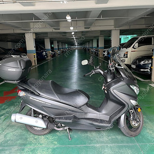 버그만200