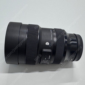 시그마 art 14-24 f2.8 DG DN 소니 e마운트 팝니다.
