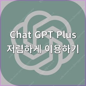 챗지피티플러스 6개월 2인팟(둘이서만사용)