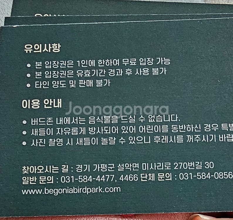 가평 베고니아 새정원 티켓 4매--1