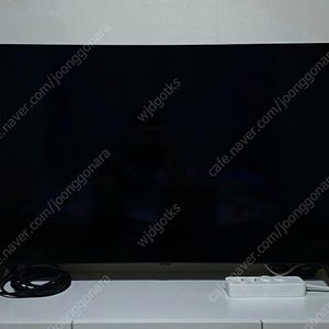 LG 55인치 4K 120hz OLED TV 55B4