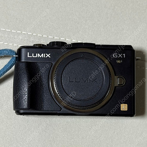 파나소닉 루믹스 GX1 바디 팝니다