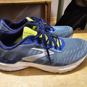 BROOKS 브룩스 라벤나10 270 이미지
