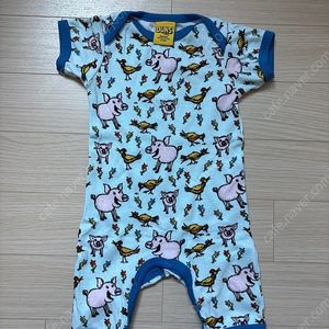 던스 파랑돼지 68 썸머수트