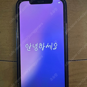 아이폰 12 프로 골드 256g