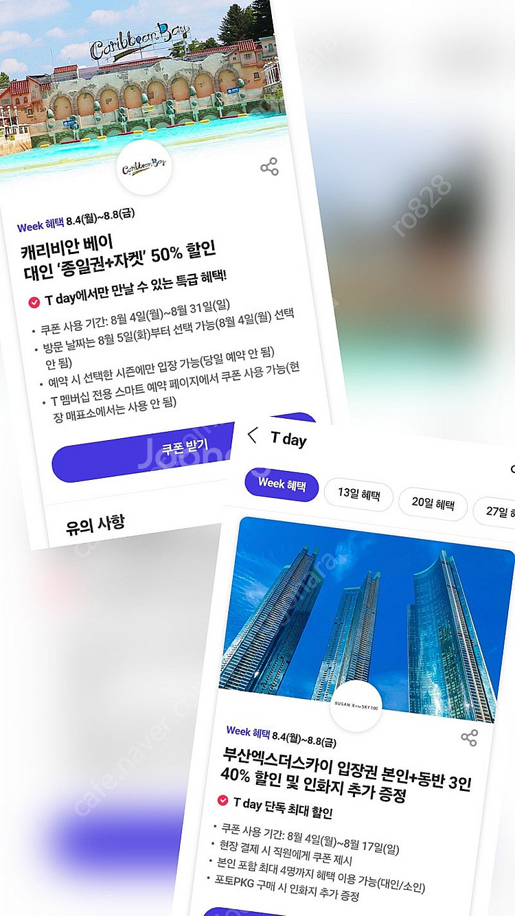 캐리비안베이 대인 종일권 +자켓 50% 할인쿠폰 , 부...--0