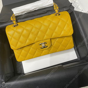 샤넬 클래식 스몰 캐비어 샴골 옐로우 새상품