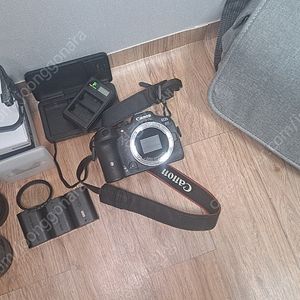 캐논 R7 + 시그마 18-50 f 2.8 스몰리그셍
