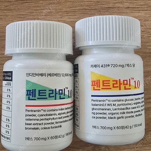 펜트라민 마름모정 강단계