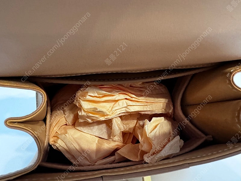 델보 브리앙 미니 비죵 이미지