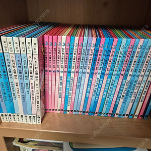 신기한 스쿨버스30+콜디건10권+덤(택포)