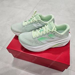 뉴발란스 퓨어셀 SC 트레이너v3 그린 발볼D 265mm 새상품 런닝화