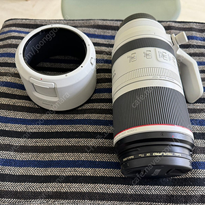 캐논 RF100-500 알백오